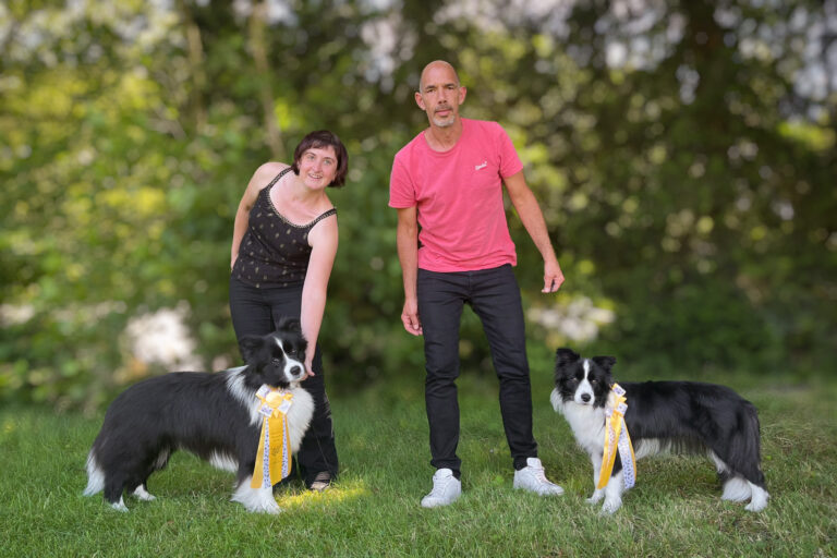 Zwei schwarz-weiße Border Collies mit Ausstellungsschleifen