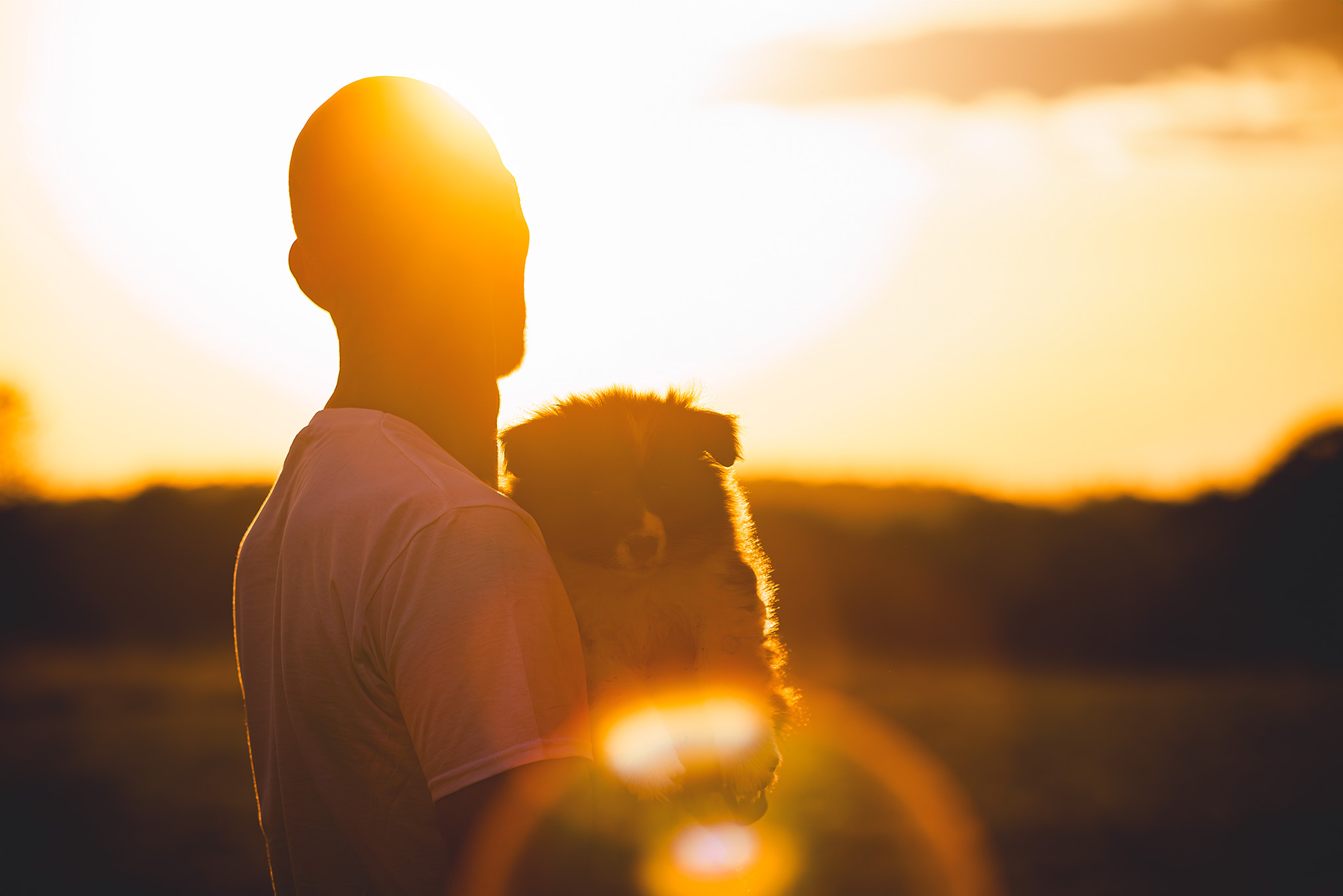 Züchter mit einem Border Collie Welpen bei Sonnenuntergang