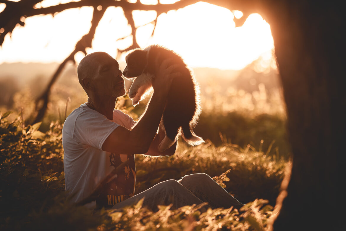 Züchter mit einem Border Collie Welpen bei Sonnenuntergang