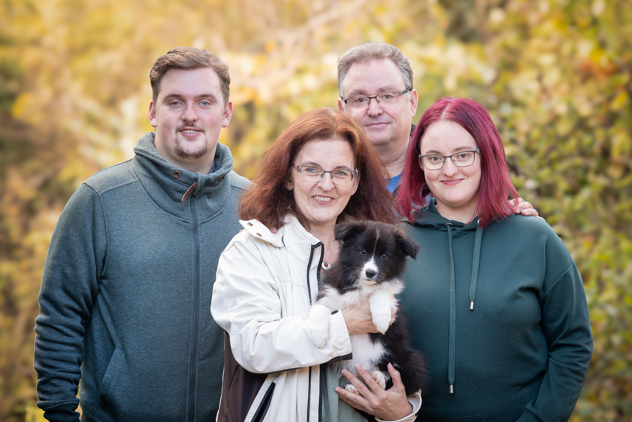 Border Collie Welpe am Tag der Abholung beim Züchter